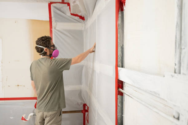 Best Environmental Consulting for Mold Prevention  in Conrad, IA