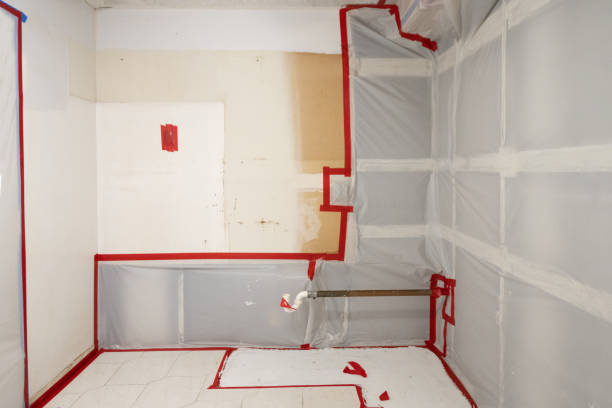 Best Crawl Space Mold Remediation  in Conrad, IA