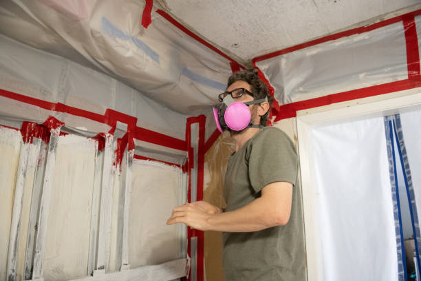 Best Water Damage & Mold Remediation  in Conrad, IA