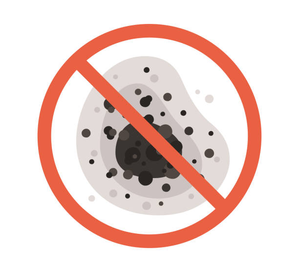 Best Mold Remediation for Healthcare Facilities  in Conrad, IA