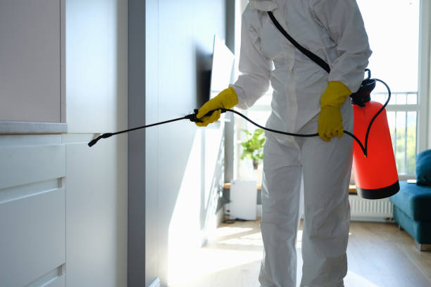 Best Attic Mold Removal  in Conrad, IA