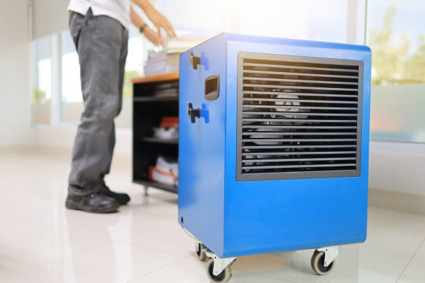Best Industrial Mold Remediation  in Conrad, IA