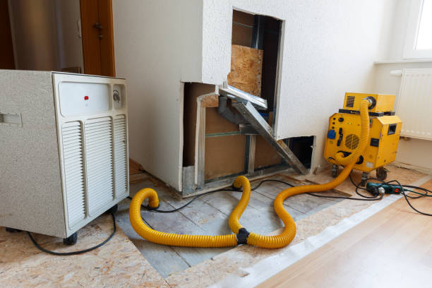 Best Forensic Mold Investigation  in Conrad, IA