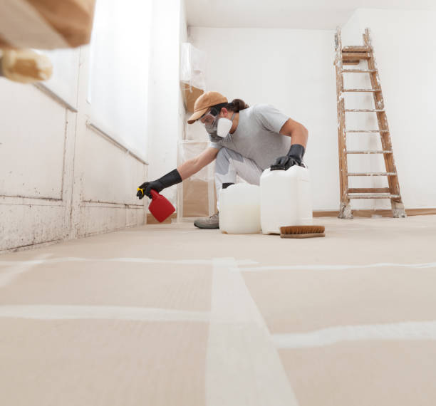 Best HVAC Mold Inspection and Cleaning  in Conrad, IA